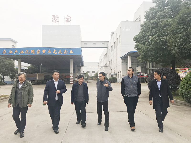 张成志：加快新项目建设步伐，促进粮食产业经济发展