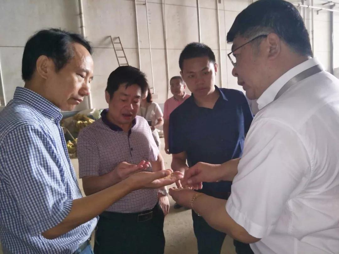 湘潭市政府副秘书长苏国军带队来我司督查早稻收购工作